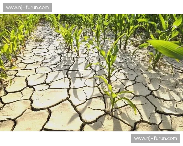 天气变化对人类健康、农业生产与经济活动的深远影响分析
